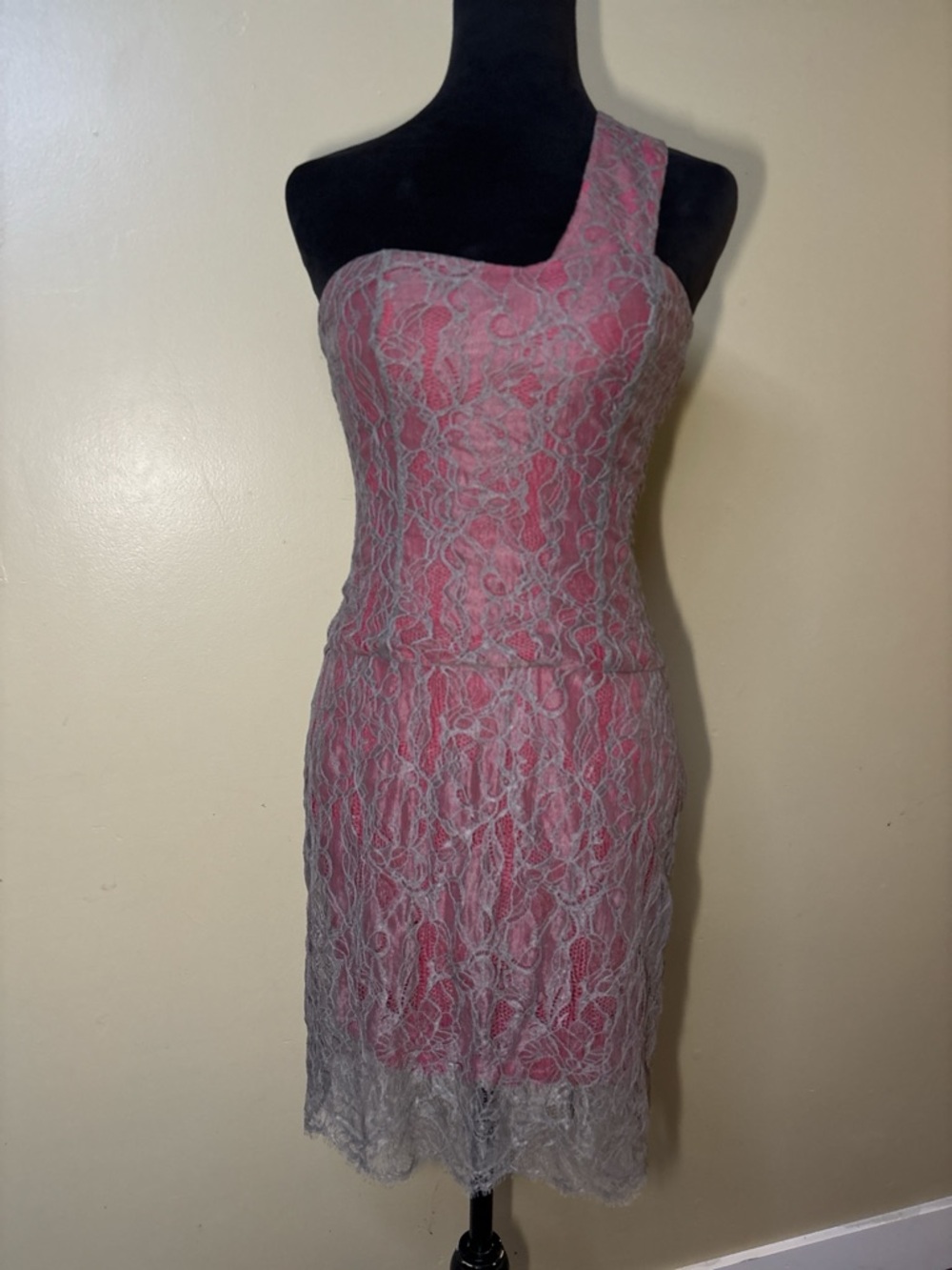 BCBGMaxAzria Runway Red  One-Shoulder Lace Silk Dress with Taupe Overlay